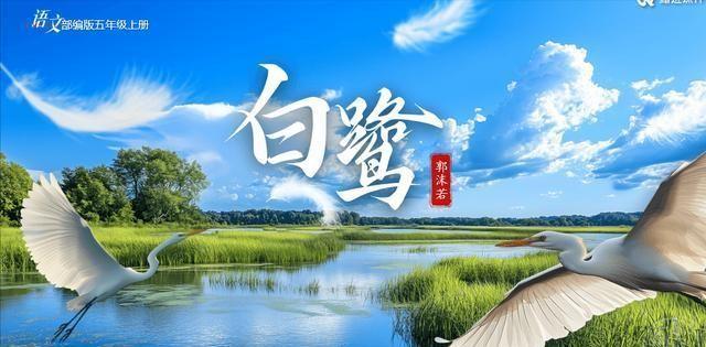 ai在线抠图_在线抠图工具免费_在线抠图网页版