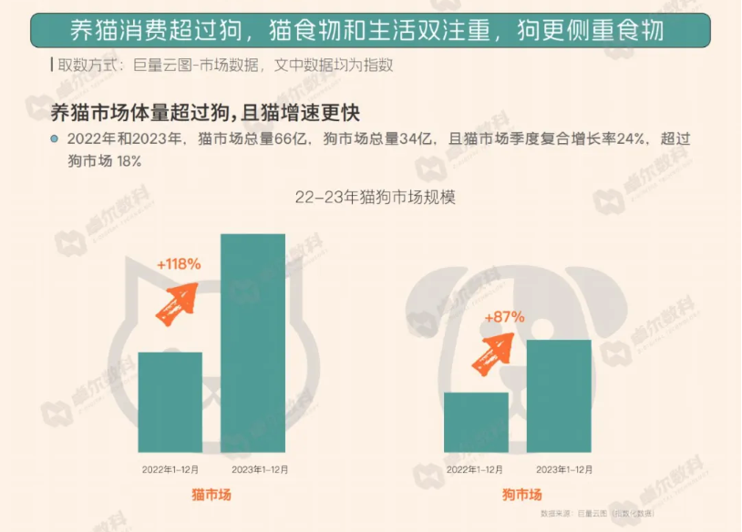 _猫猫中文说唱火爆TikTok，神秘东方AI硬控老外_猫猫中文说唱火爆TikTok，神秘东方AI硬控老外