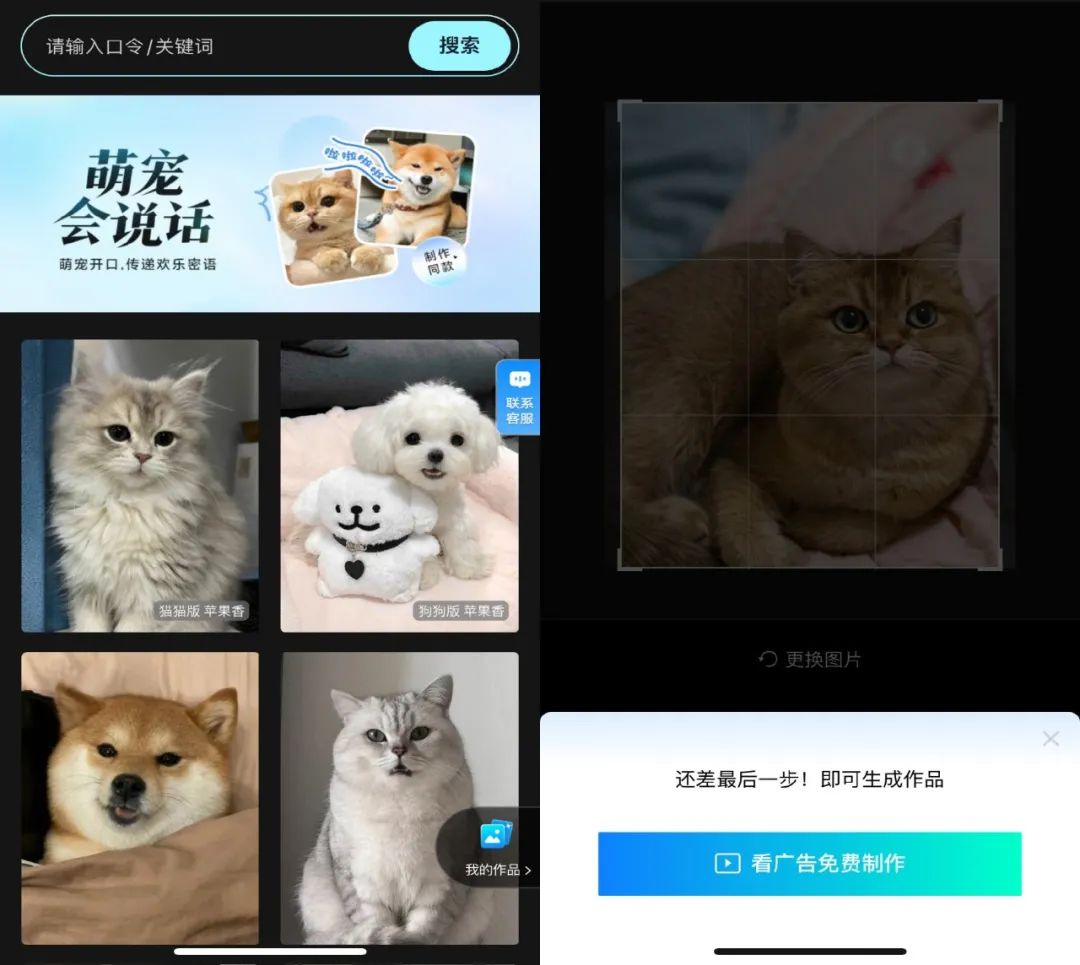 _猫猫中文说唱火爆TikTok，神秘东方AI硬控老外_猫猫中文说唱火爆TikTok，神秘东方AI硬控老外